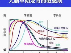 -金色雨林感统训练·专注力·语言认知·心理沙盘(天通苑校区)