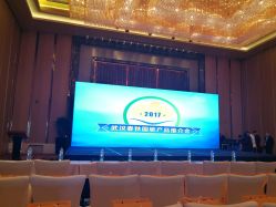 -武汉富力威斯汀酒店·宴会厅