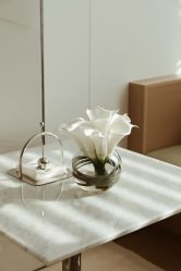 -蘭FACE·海菲秀飞顿Med SPA
