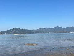 -四明山国家森林公园