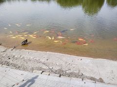-太阳宫公园