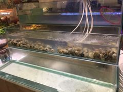 -339旋转餐厅(天府熊猫塔店)