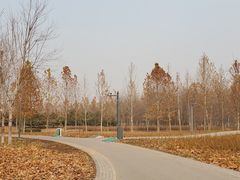 -东郊湿地公园