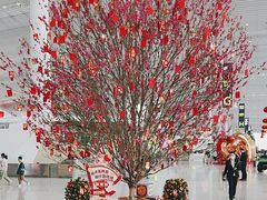 -广州白云国际机场-T2航站楼