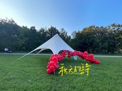 -上海共青森林公园