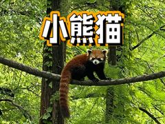 -上海野生动物园