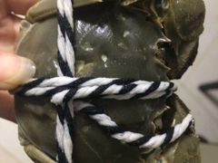 -七的湖·晚芳亭·阳澄湖农家菜·大闸蟹(莲花岛店)