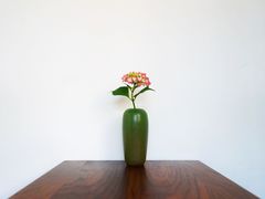 -知亘茶食