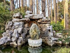 -上海醉白池公园