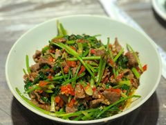 -壹盏灯(惠农店)