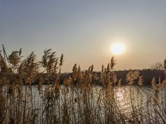 -盐城丹顶鹤湿地生态旅游区