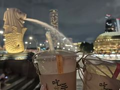 -鱼尾狮公园