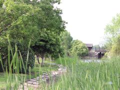 -梁鸿国家湿地公园