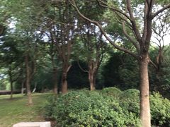 -贡湖湾湿地公园