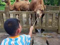 -贵州森林野生动物园