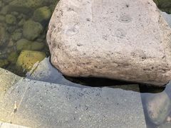 -活水公园