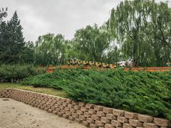 -朝阳公园游乐园