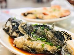 清蒸石斑鱼-明记海鲜大排档(巽寮湾店)