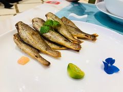 -南山鲜虾面·活鲜小馆·海味大连菜(南山总店)