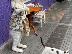 -恋物百货商店(华侨城店)