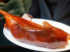 -西郊壹号