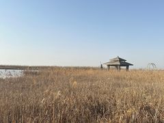 -宁波杭州湾国家湿地公园