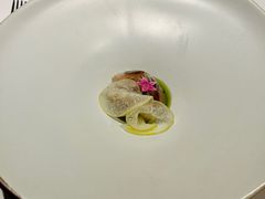 -蝶舍·MAISON PAPILLON