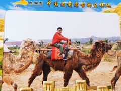 -水洞沟旅游区