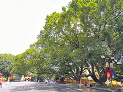-桂林独秀峰王城景区
