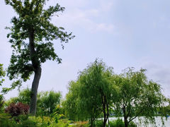 -上海长兴岛郊野公园