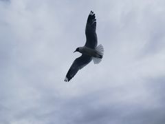 -花湖生态旅游区
