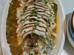 -呼吸森林·生态农庄农家乐私房菜