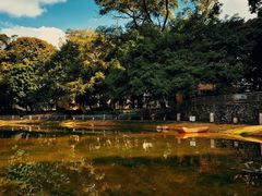 -广西大学(大学东路校区)