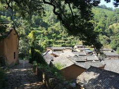 -杨家堂村