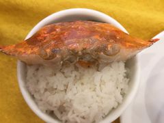 -鸿达渔港