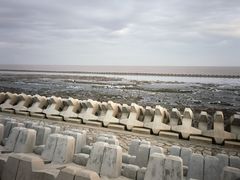 -春花秋色城市公园