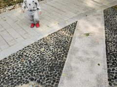 -金山公园