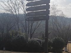 -桃花岭景区