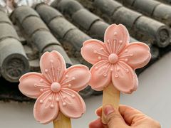-桃花堤公园