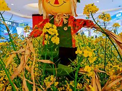 -天虹购物中心(石路店)