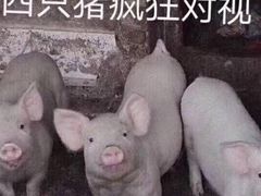 -SPACE(欢乐颂购物中心店)