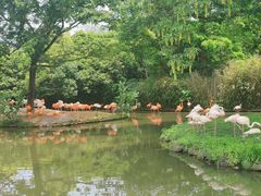 -上海野生动物园
