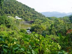 -呀诺达热带雨林