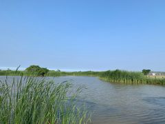 -盐城丹顶鹤湿地生态旅游区