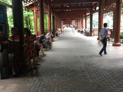 -重庆彩云湖湿地公园