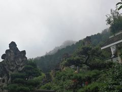 -老幺泉水鸡