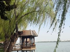 -同里湖度假村(二期店)