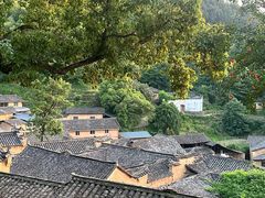 -杨家堂村