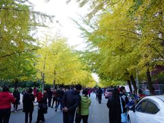 -辽宁大学(崇山校区)