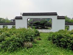 -盆景园(扬州大运河文化旅游度假区)